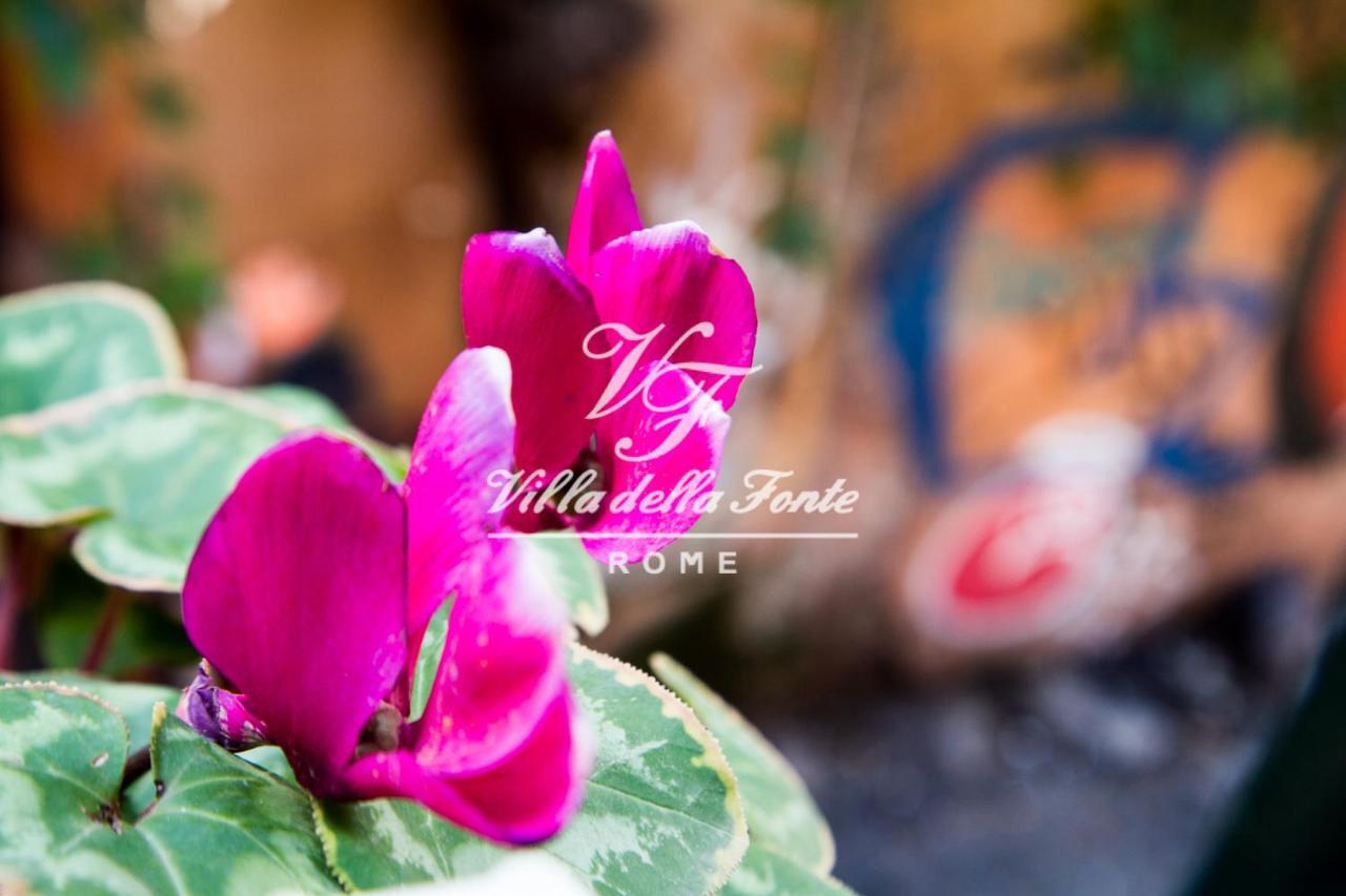 Villa Della Fonte Roma Ngoại thất bức ảnh